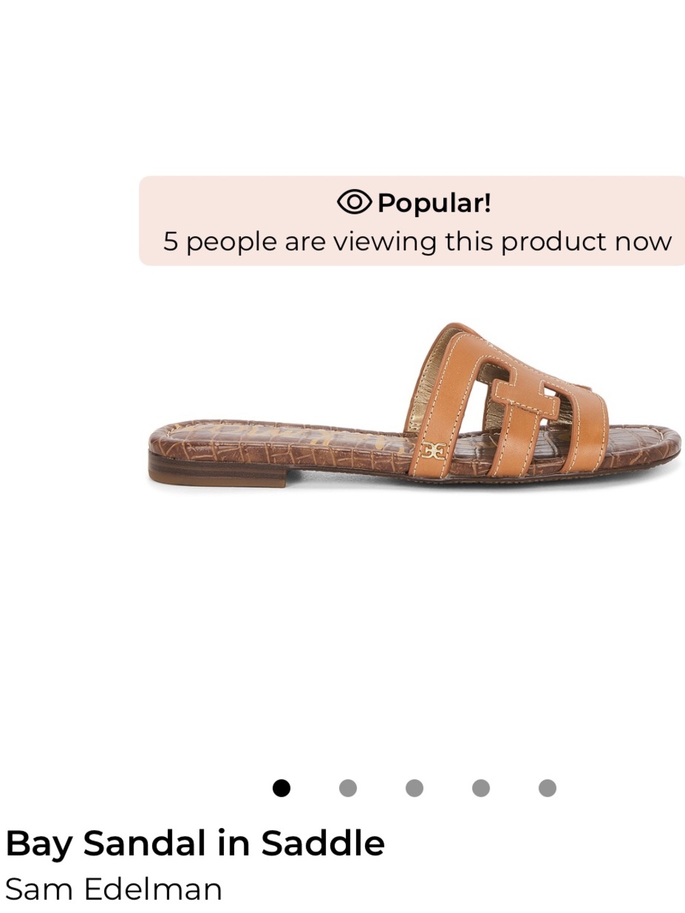 Sam Edelman Bay Slide Sandal in Saddle Brown